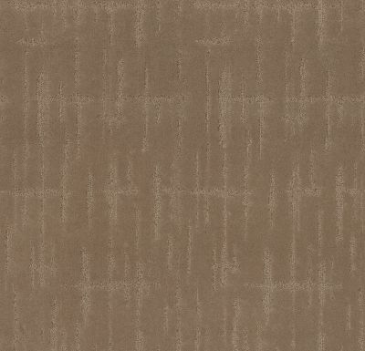 Shaw Floors Caress By Shaw Rustique Vibe Lg Raw Wood 00720_CC01B