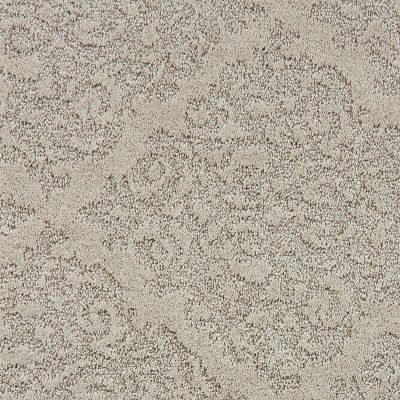 Shaw Floors Caress By Shaw Chateau Fare Lg Clay 00700_CC02B