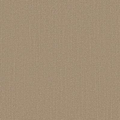 Shaw Floors Caress By Shaw Tranquil Waters Lg Cobble Stone 00135_CC07B
