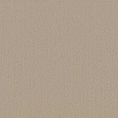 Shaw Floors Caress By Shaw Tranquil Waters Lg Fossil 00151_CC07B