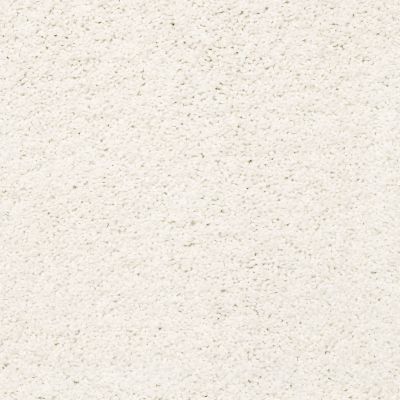 Shaw Floors SFA Rich Opulence Lg Calm 00101_CC08B