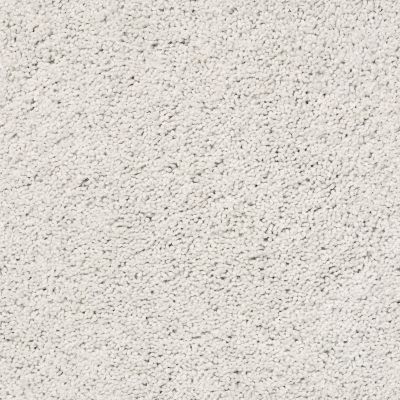 Shaw Floors SFA Rich Opulence Lg Glacier Ice 00500_CC08B