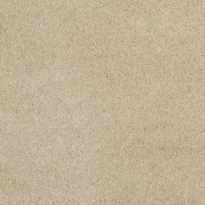 Shaw Floors Caress By Shaw Cashmere I Lg Gentle Doe 00128_CC09B