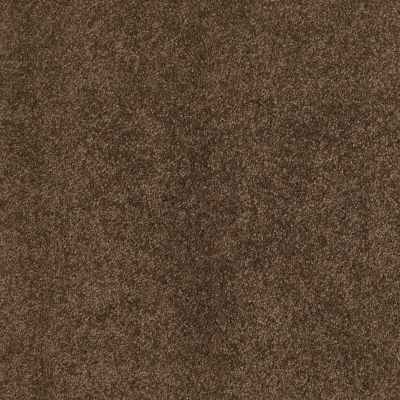 Shaw Floors Caress By Shaw Cashmere I Lg Bison 00707_CC09B