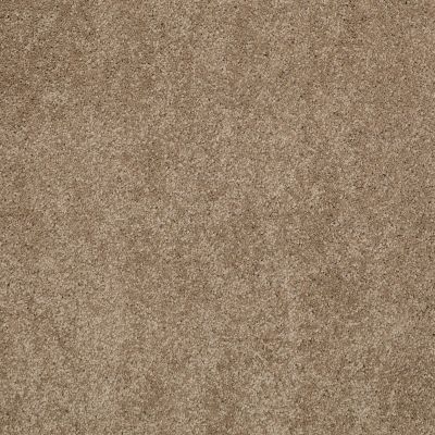 Shaw Floors Caress By Shaw Cashmere I Lg Pebble Path 00722_CC09B