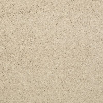 Shaw Floors Caress By Shaw Cashmere II Lg Yearling 00107_CC10B