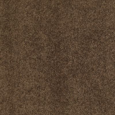 Shaw Floors Caress By Shaw Cashmere II Lg Bison 00707_CC10B