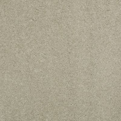 Shaw Floors Cashmere III Lg Spruce 00321_CC11B