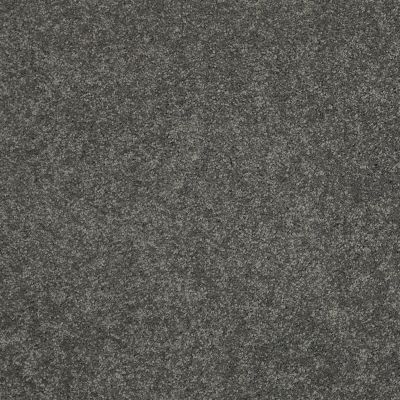 Shaw Floors Caress By Shaw Cashmere III Lg Onyx 00528_CC11B