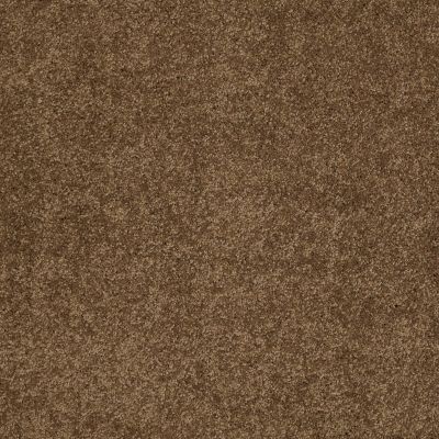 Shaw Floors Caress By Shaw Cashmere III Lg Tobacco Leaf 00723_CC11B