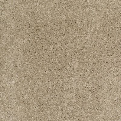 Shaw Floors Caress By Shaw Cashmere Iv Lg Pecan Bark 00721_CC12B