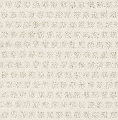 Shaw Floors SFA My Expression Lg Snowfall 00150_CC28B
