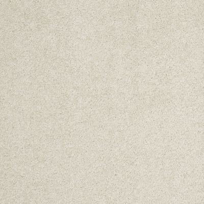 Shaw Floors Value Collections Cashmere I Lg Net Cheviot 00104_CC47B