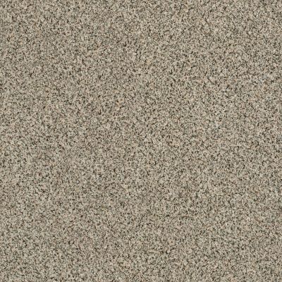 Shaw Floors Value Collections Angora Classic I Net Walnut Shell 0750A_CC86B