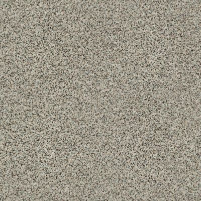 Shaw Floors Value Collections Angora Classic II Net Corriedale 0550A_CC87B