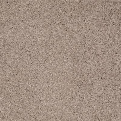 Shaw Floors Caress By Shaw Quiet Comfort I Oxford 00901_CCB30