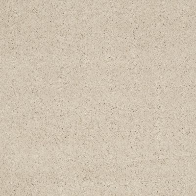 Shaw Floors Caress By Shaw Quiet Comfort Iv Cheviot 00104_CCB33