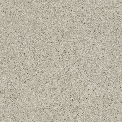 Shaw Floors Caress By Shaw Quiet Comfort Classic I Spearmint 00320_CCB96