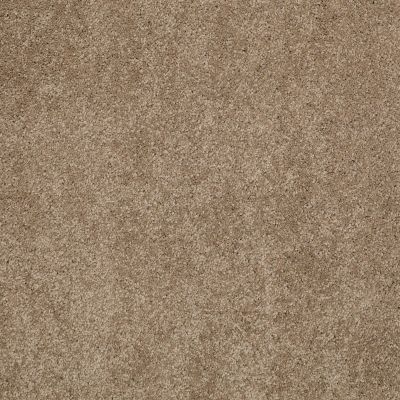 Shaw Floors Caress By Shaw Quiet Comfort Classic I Pebble Path 00722_CCB96