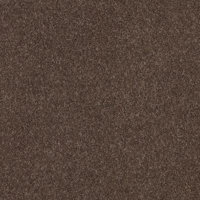 Shaw Floors Caress By Shaw Quiet Comfort Classic I Spring – Wood 00725_CCB96