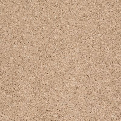 Shaw Floors Caress By Shaw Quiet Comfort Classic II Maplewood North 00600_CCB97