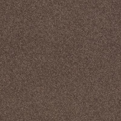 Shaw Floors Caress By Shaw Quiet Comfort Classic II Spring – Wood 00725_CCB97