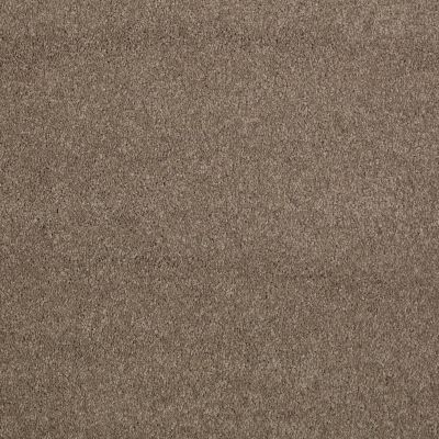 Shaw Floors Caress By Shaw Quiet Comfort Classic III Mesquite 00724_CCB98