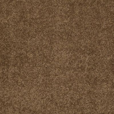 Shaw Floors Caress By Shaw Quiet Comfort Classic Iv Tobacco Leaf 00723_CCB99
