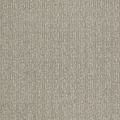 Shaw Floors Caress By Shaw Designers Trend Classic Crete 00501_CCP50