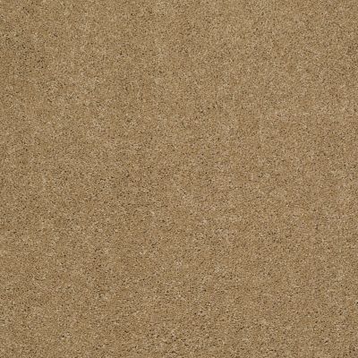 Shaw Floors Caress By Shaw Cashmere III Navajo 00703_CCS03