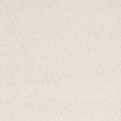 Shaw Floors Caress By Shaw Cashmere Iv Icelandic 00100_CCS04
