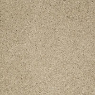 Shaw Floors Caress By Shaw Cashmere Iv Romney Marsh 00300_CCS04