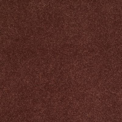 Shaw Floors Caress By Shaw Cashmere Iv Guanaco 00603_CCS04