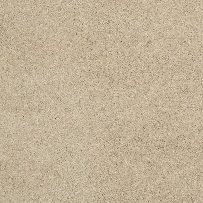 Shaw Floors Caress By Shaw Cashmere Classic I Gentle Doe 00128_CCS68