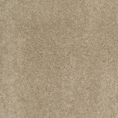 Shaw Floors Caress By Shaw Cashmere Classic I Pecan Bark 00721_CCS68