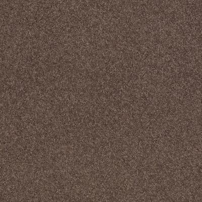Shaw Floors Caress By Shaw Cashmere Classic II Spring – Wood 00725_CCS69