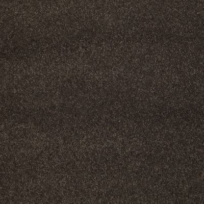 Shaw Floors Caress By Shaw Cashmere Classic III Chestnut 00726_CCS70