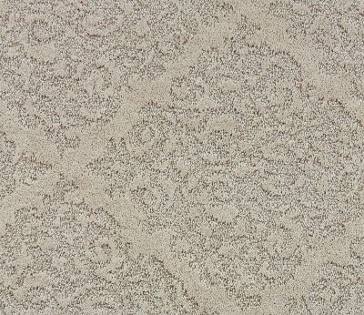 Shaw Floors Caress By Shaw Chateau Fare Clay 00700_CCS73