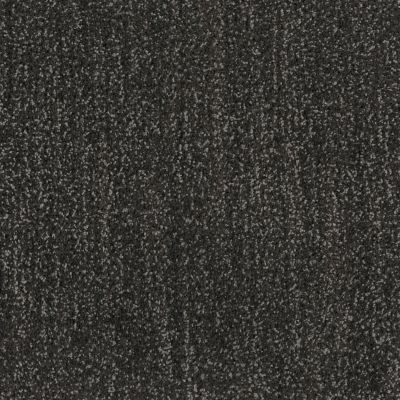 Shaw Floors Caress By Shaw Ombre Whisper Wrought Iron 00533_CCS79
