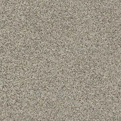 Shaw Floors Caress By Shaw Angora Classic I Corriedale 0550A_CCS81