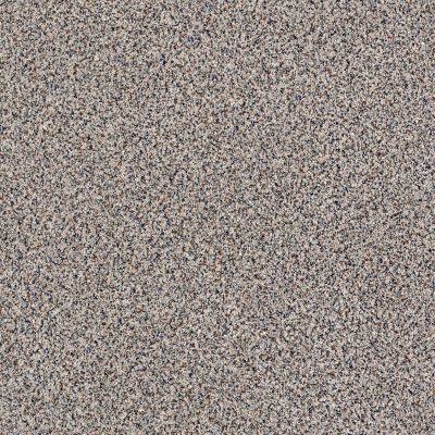 Shaw Floors Caress By Shaw Angora Classic III Roving 0552A_CCS83