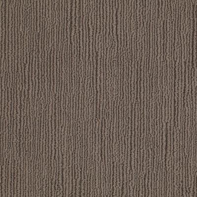 Shaw Floors Caress By Shaw Linenweave Classic Spring-wood 00725_CCS85