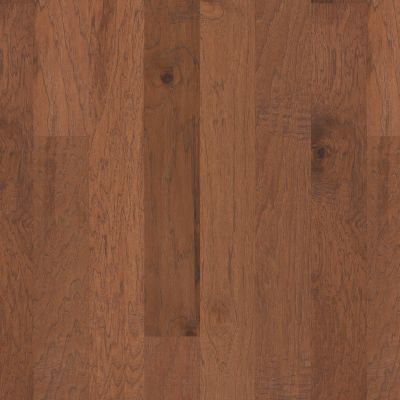 Shaw Floors Carpets Plus Hardwood Barnwood Cider 00221_CH814