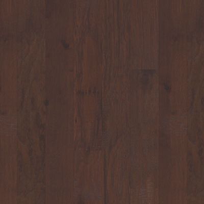 Shaw Floors Carpets Plus Hardwood Barnwood Espresso 00917_CH814