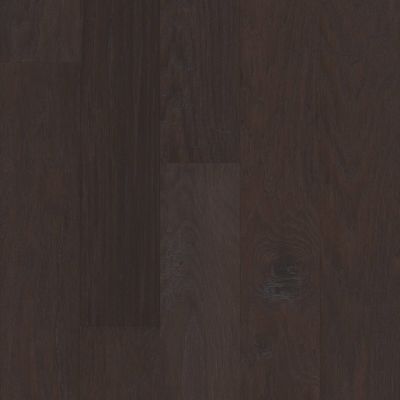 Shaw Floors Carpets Plus Hardwood Echo Canyon Olde English 00885_CH848