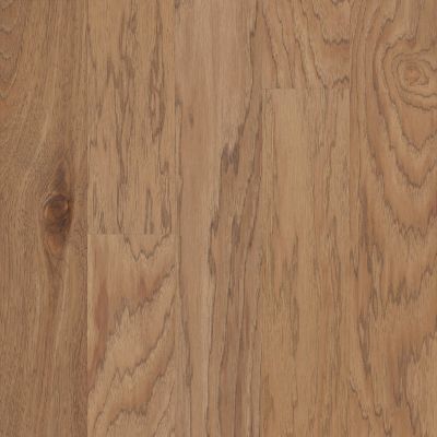 Shaw Floors Carpets Plus Hardwood Grand Mere Parchment 00138_CH850