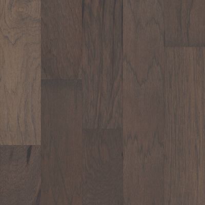 Shaw Floors Carpets Plus Hardwood Grand Mere Fedora 00501_CH850