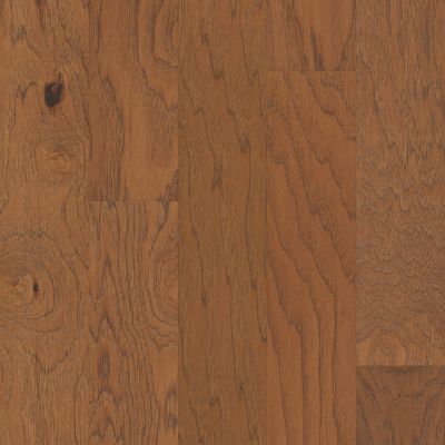 Shaw Floors Carpets Plus Hardwood Grand Mere Sugarcane 00883_CH850