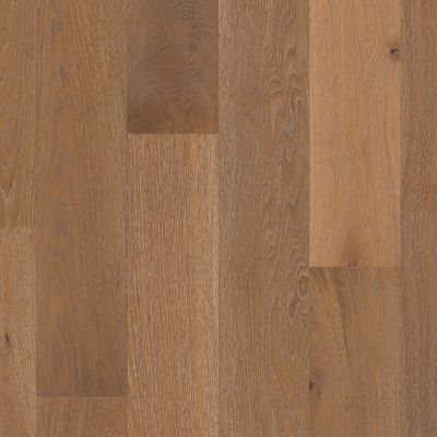 Shaw Floors Carpets Plus Hardwood Blue Springs Oak Baroque 05031_CH870