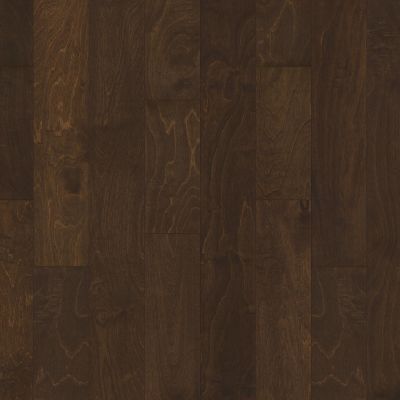 Shaw Floors Carpets Plus Design Values Collection Cottonwood Birch Bayfront 00493_CH878